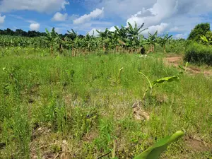 Plot's for Sale in Kira