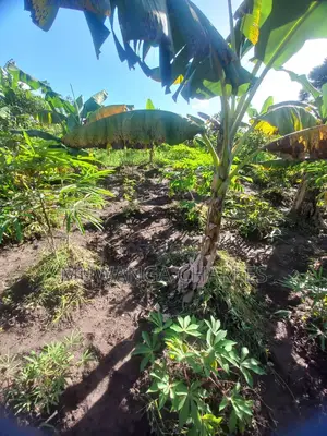 Plot's for Sale in Kimwanyi
