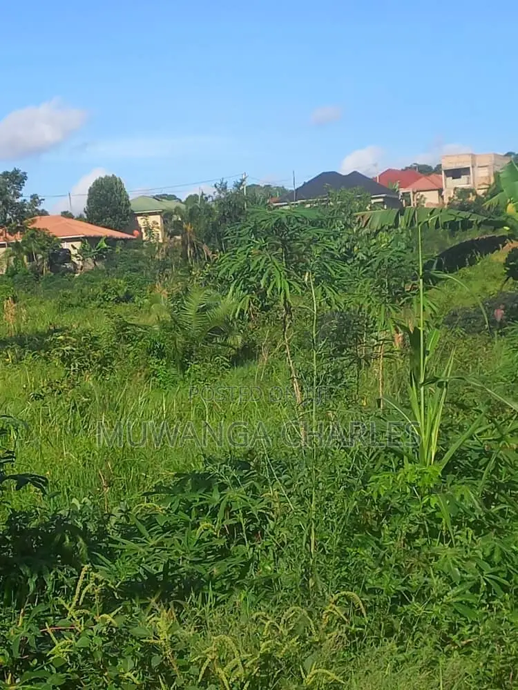 Plot's for Sale in Kimwanyi