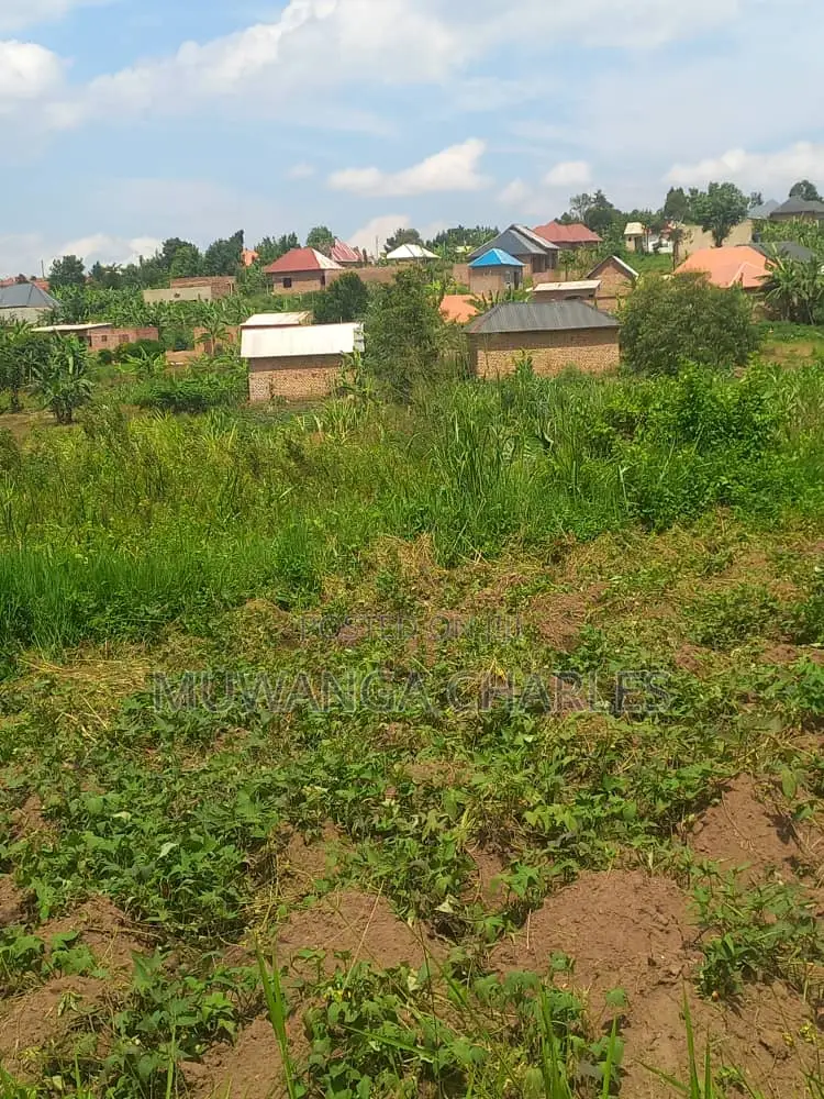 Plot's for Sale in Kimwanyi