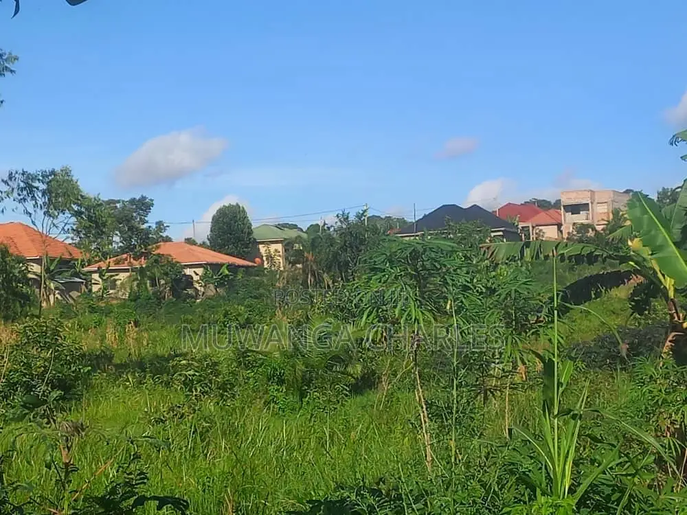 Plot's for Sale in Kimwanyi