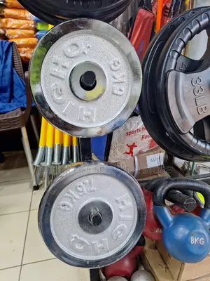 Weight Plates Silver Quality