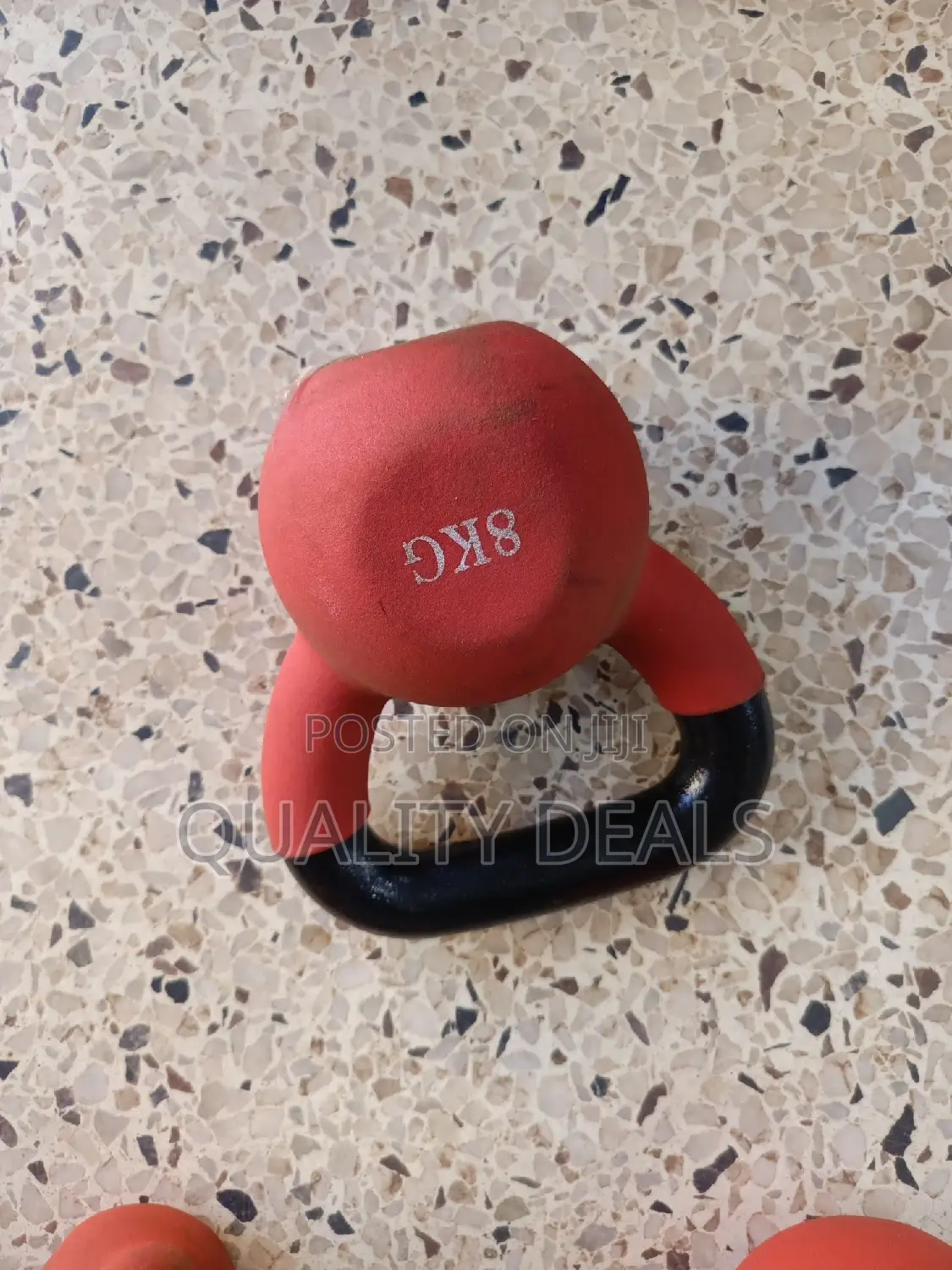 8 Kg Dumbbell