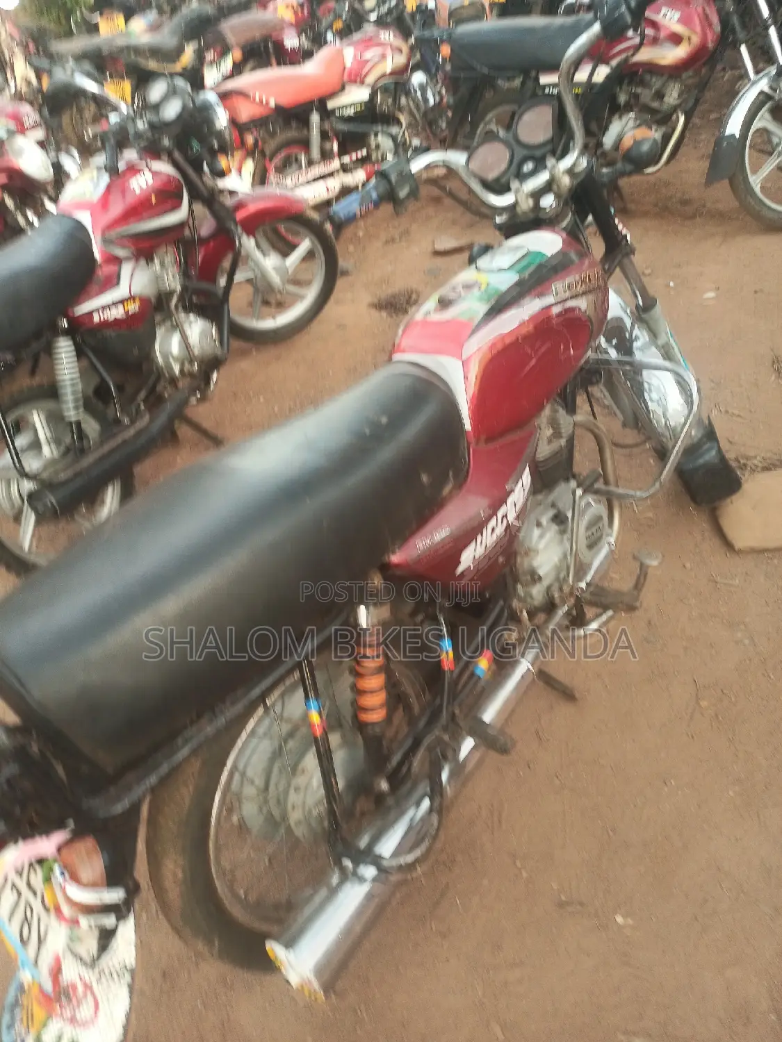Bajaj Boxer 2019 Red