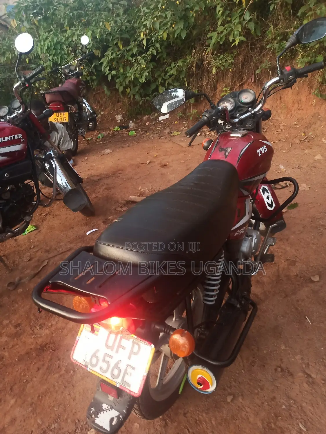 TVS HLX 125 2023 Red
