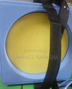 20l Vaccine Carrier With Ice Packs