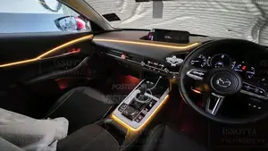 Universal Car Ambient Lights