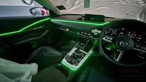 Universal Car Ambient Lights