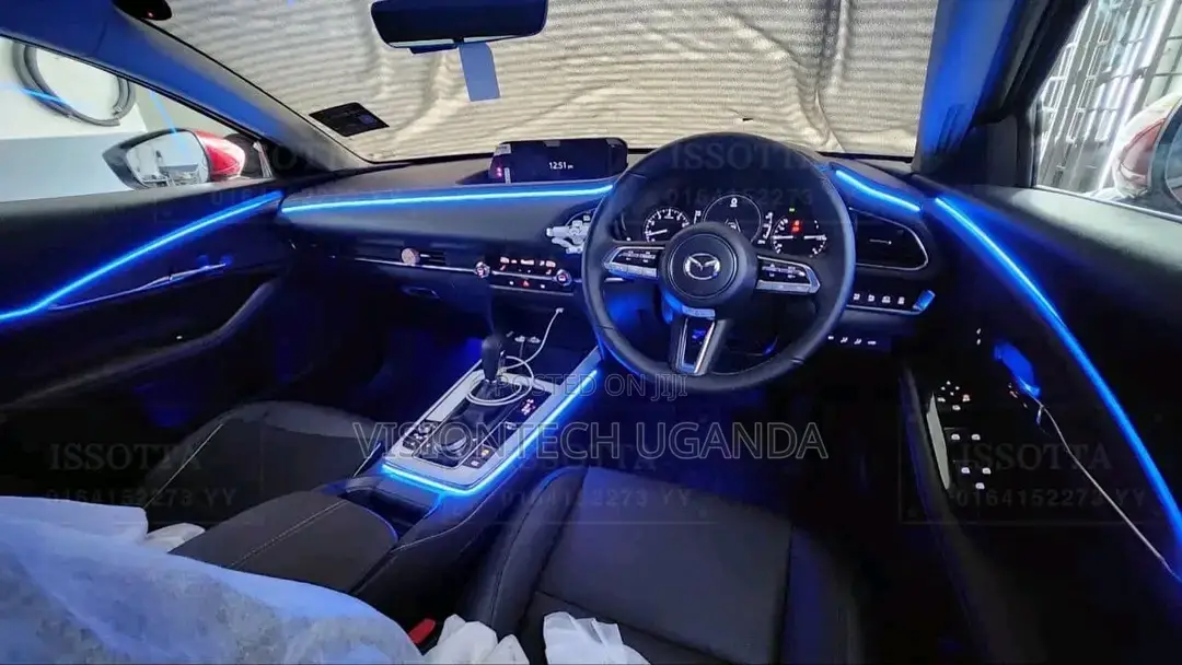 Universal Car Ambient Lights