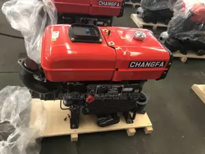 Diesel Engine 20hp Changfa
