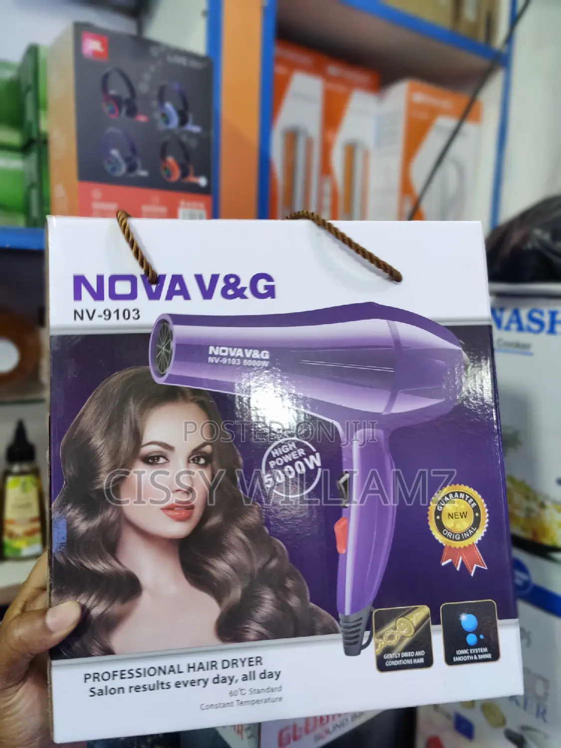 Professional Hair Dryer/High Power Hair Dryer/Hair Dryer