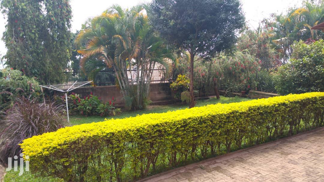 Three Bedroom House In Naguru For Rent