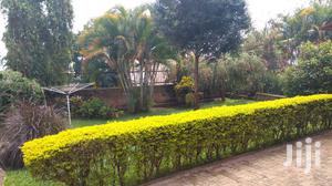 Three Bedroom House In Naguru For Rent