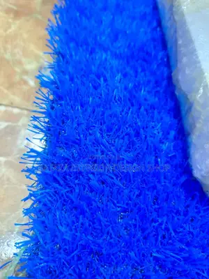 Blue Grass Carpet Grass Carpet Grass Carpet