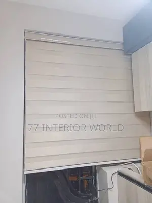 Vision Blinds/ Zebra Blinds Blinds