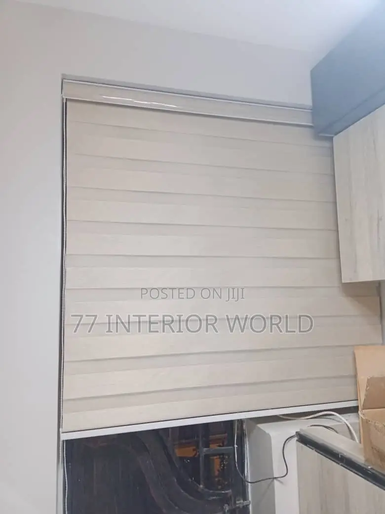 Vision Blinds/ Zebra Blinds Blinds