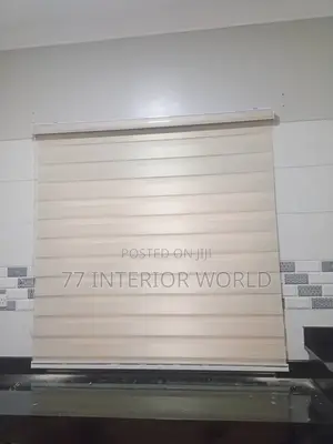 Vision Blinds/ Zebra Blinds Blinds