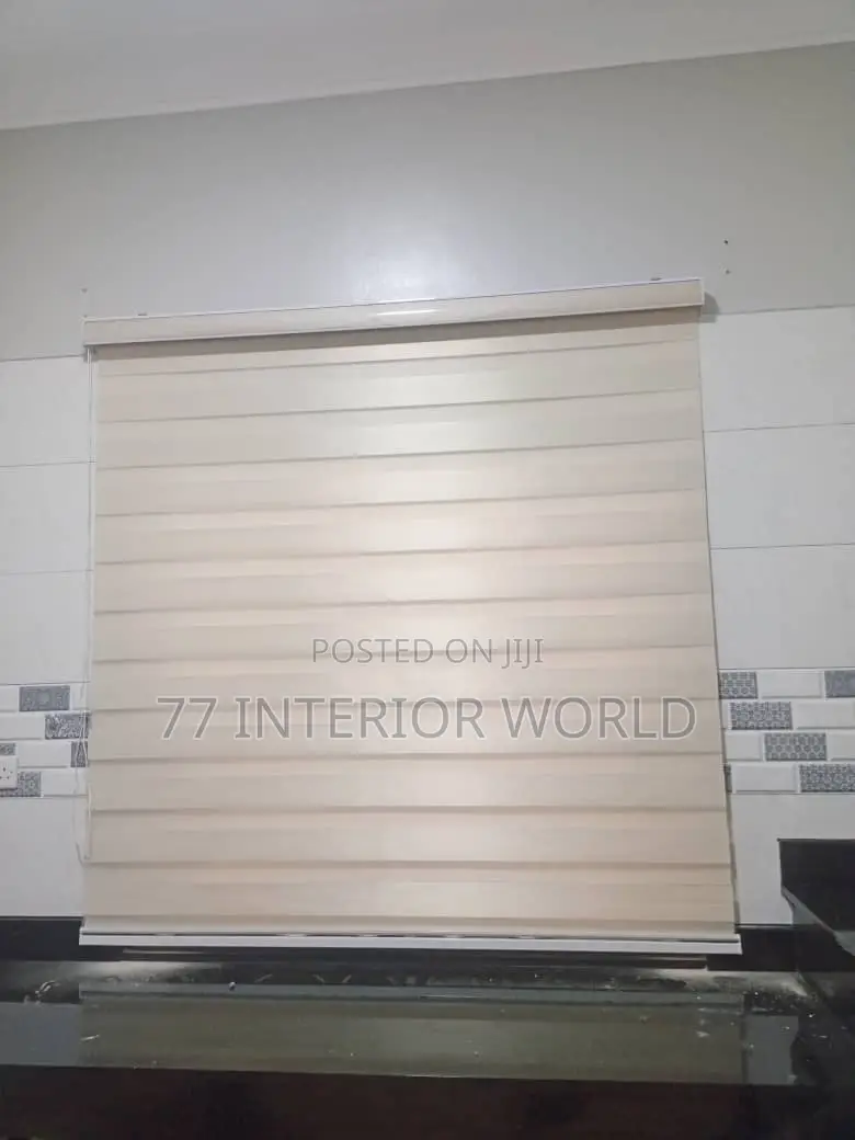 Vision Blinds/ Zebra Blinds Blinds