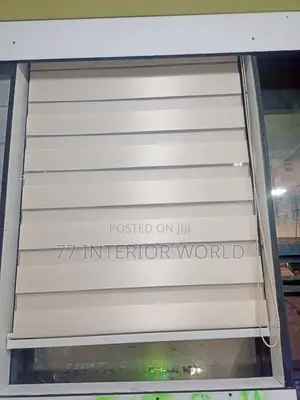 Vision Blinds/ Zebra Blinds Blinds