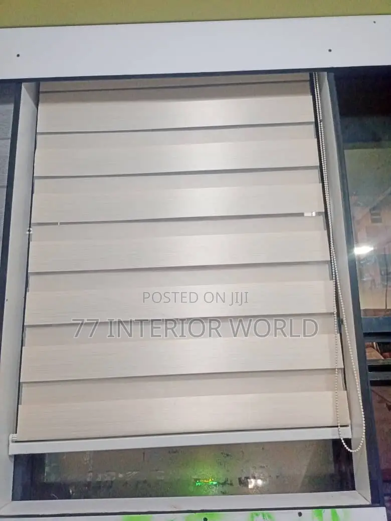 Vision Blinds/ Zebra Blinds Blinds