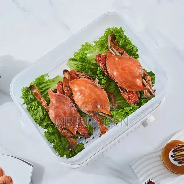 Electric Food Steamer (3 Layers)