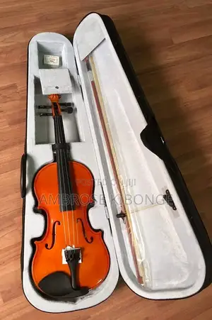 Classic Quality Solid Body 4/4 Acoustic Violin Full Package.