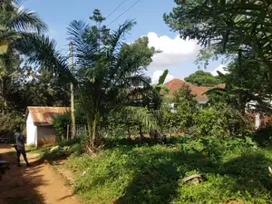 100by100ft Plot for Sale in Kira