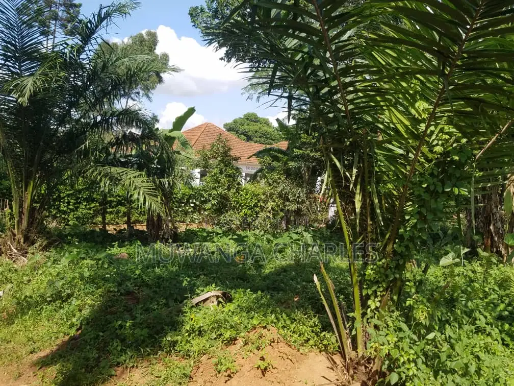 100by100ft Plot for Sale in Kira