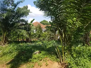 100by100ft Plot for Sale in Kira