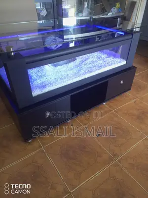 The Black, Nice Coffee Table Aquarium