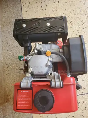 Diesel Engine RT170F