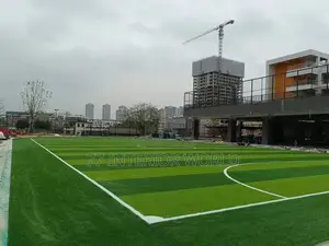 Football Playground Grass Carpets/ Artificial Grass