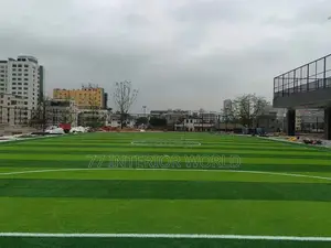 Football Playground Grass Carpets/ Artificial Grass
