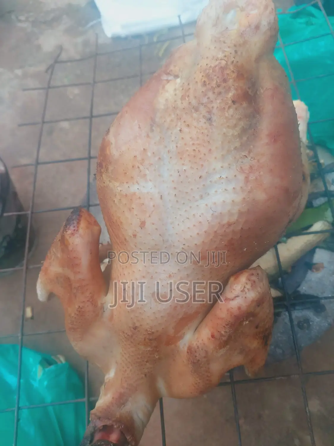 Mature Kuroiler Chicken