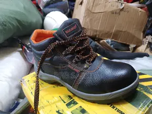 Safety Shoe. Walklander