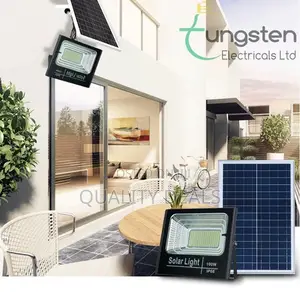 Original Flood Solar Light/ Security Light