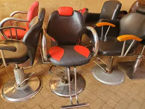 Salon Chair .
