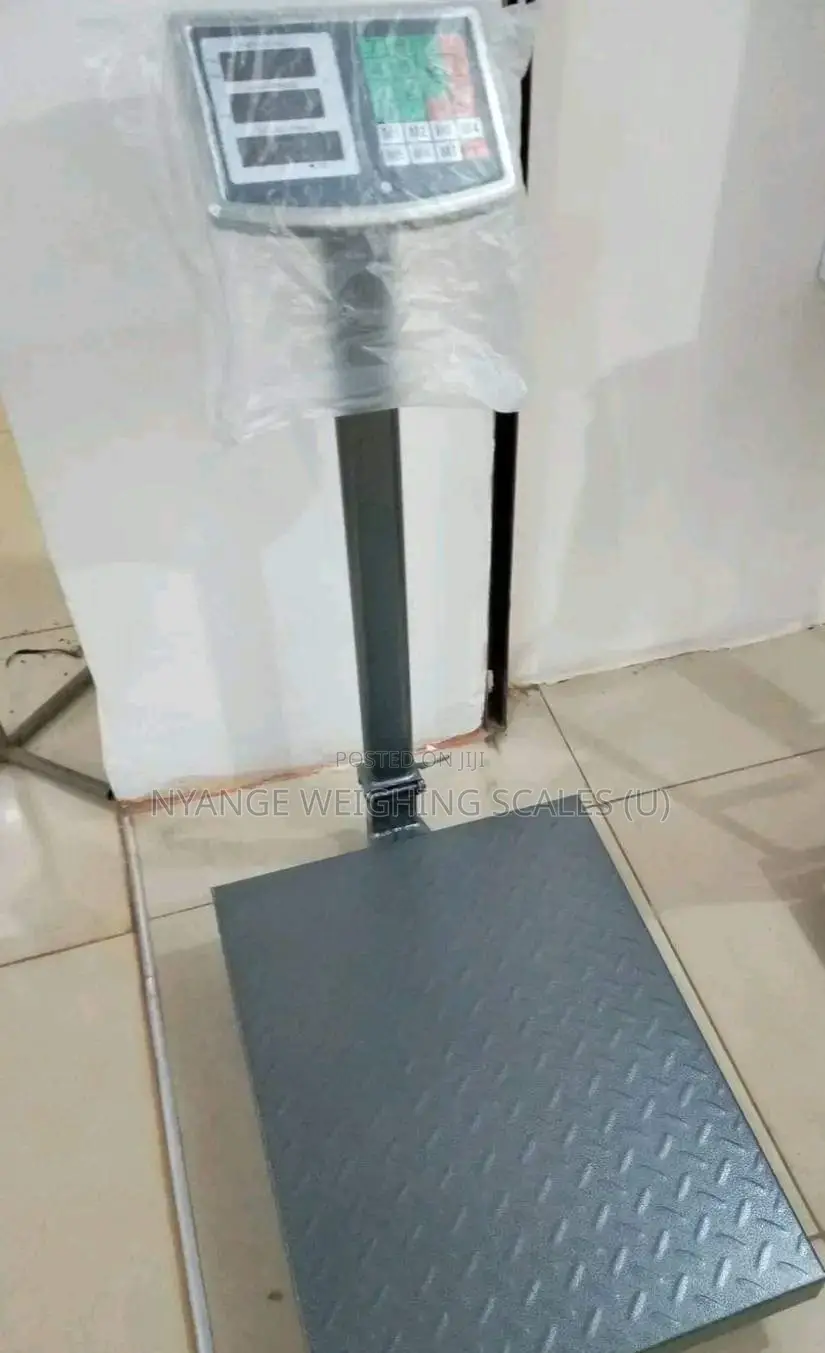 Cast Iron TCS Brand Weighing Scales 350kg Accurate Digital Weigh Scale