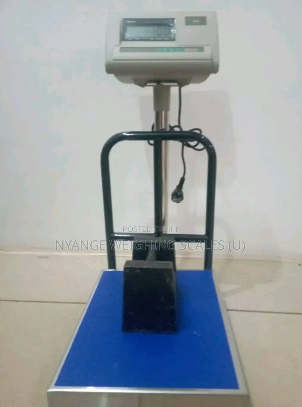 Stainless Steel Plate A12 Platform Weighing Scales