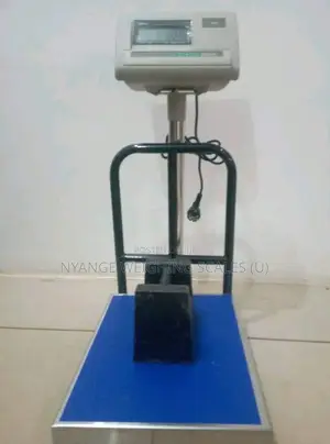 Stainless Steel Plate A12 Platform Weighing Scales