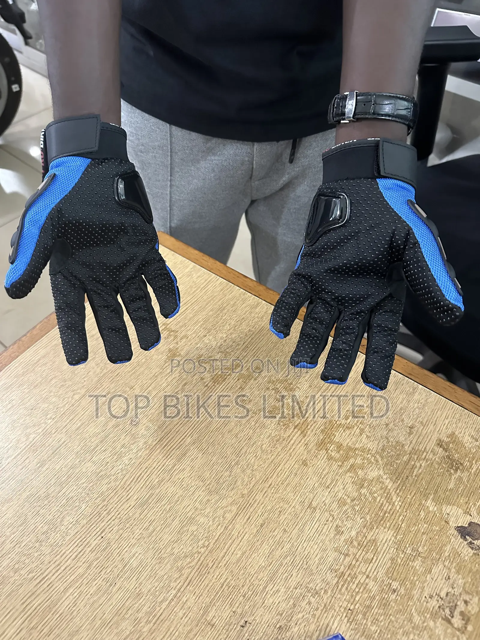 Riding Gloves
