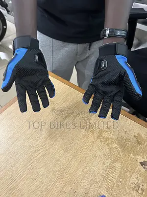 Riding Gloves