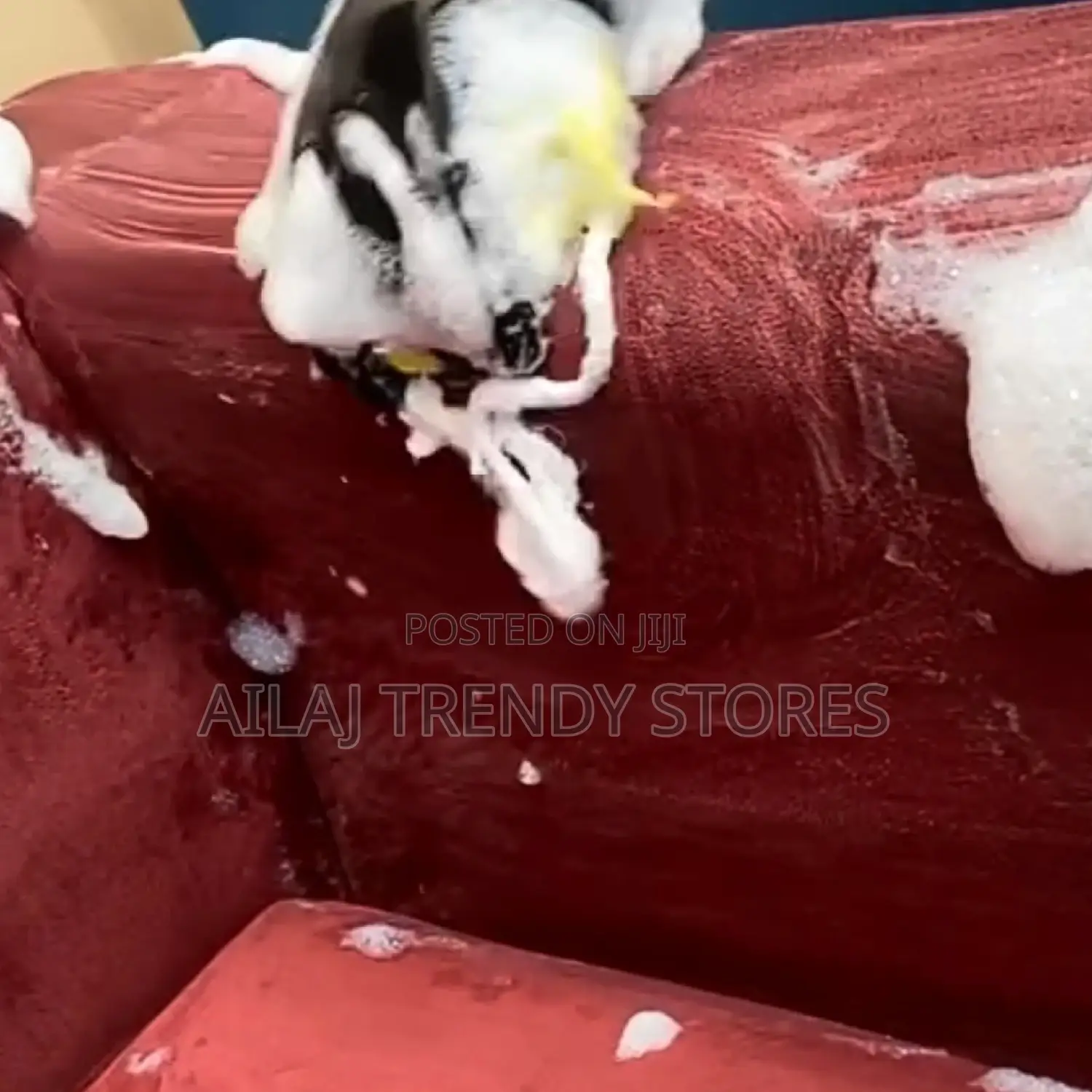 Sofa Cleaning