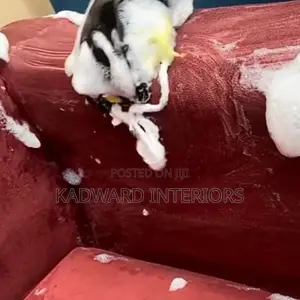 Sofa Cleaning