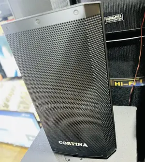 Photo - 12” Mid Range Top Speaker