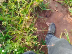 3acres of Land for Sale in Busiika