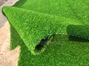 Artificial Grass Carpets/ Grass Carpets