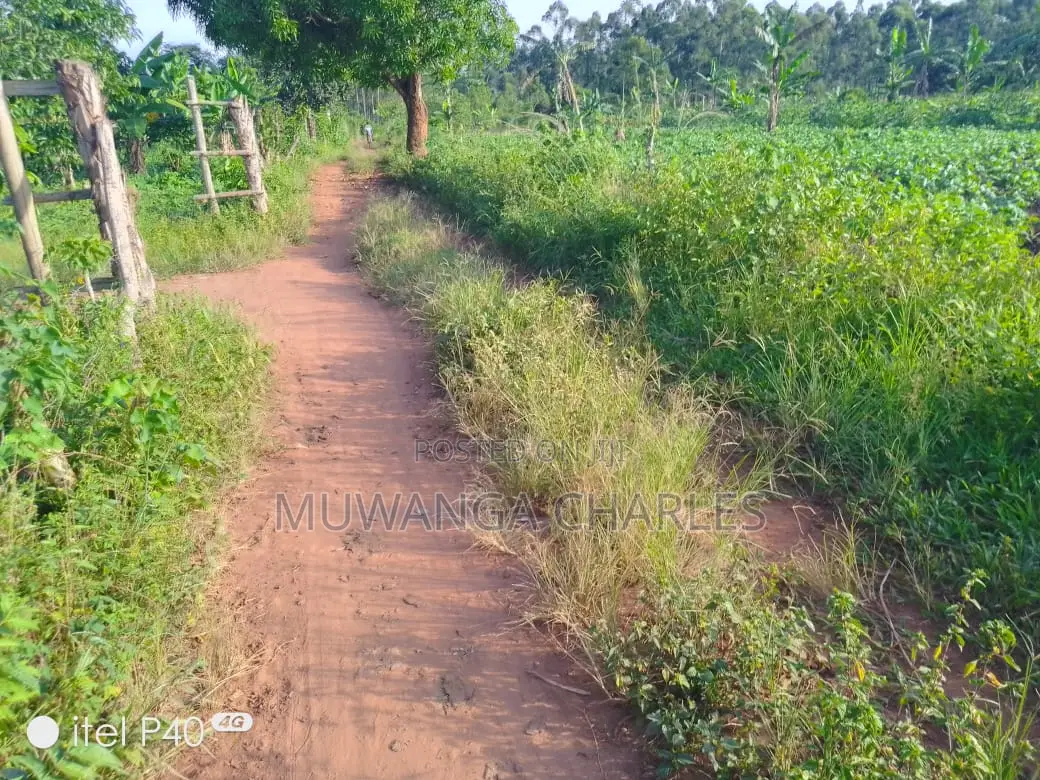 2acres of Land for Sale in Wabutungulu