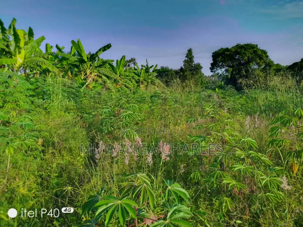 2acres of Land for Sale in Wabutungulu