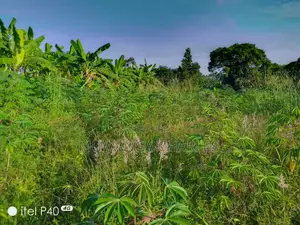 2acres of Land for Sale in Wabutungulu